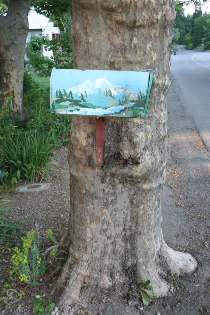 A painting of a lake on the side of a tree.